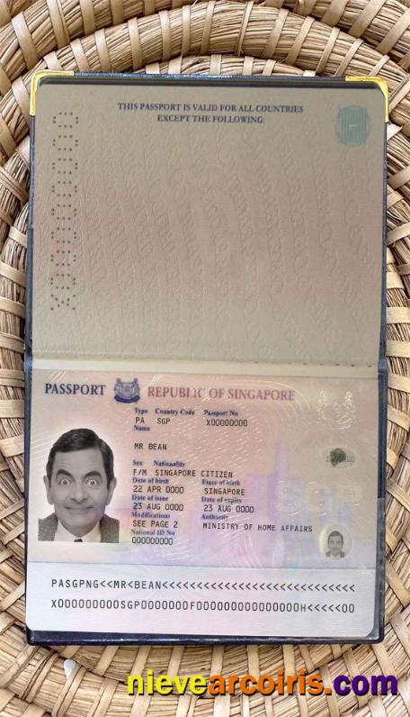 Singapore pass (2006-2017) photolook